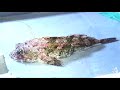 Fish Surgery