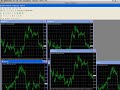 sharedforex_setup_indicators.mov