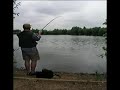 Carp On The Fly Carp On The Fly