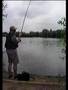 Carp On The Fly