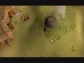 How To Start Your RuneScape Pure