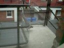 Stupid Seagull