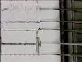 Polygraph by Adam Feinstein & Rich Garella