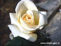 Azerbaycan Marali Azerbaycan Marali