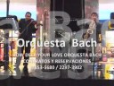 ORQUESTA BACH  HOW DEEP YOUR LOVE