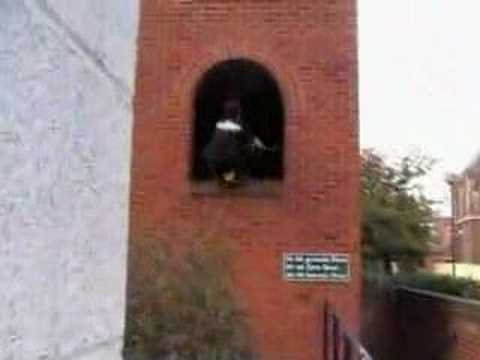 Norwich Parkour 2