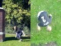 Norwich Parkour 2
