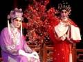 Chinese opera (Cantonese) 蝶影红梨记 4
