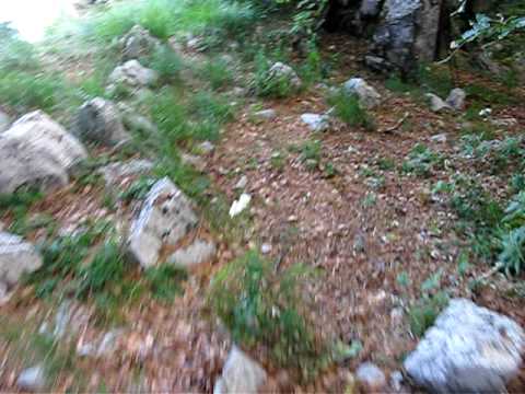 See video