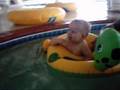 videos de My Family