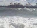 Shorey Shorey