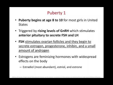 SCB 202 Chapter 28 Female Reproductive System Part 2
