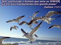 Jacy Velasquez-flower in the rain.WMV