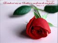 Jacy Velasquez-flower in the rain.WMV