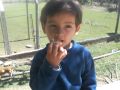CHOLITO CHARLANDO