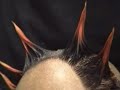 The Death of Spikey McMohawk