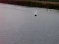 Flying Fish RC boat Flying Fish RC boat