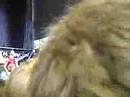 The Almost Warped Tour 07