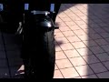 YAMAHA Vmax Vマックス ブイマックス