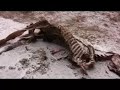 POOREST place in America - Lakota Medicine Man Prophecy Pt 1