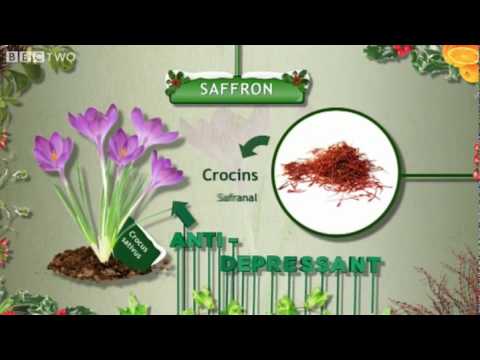 how to grow your own drugs bbc