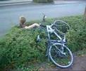 Dino lernt Fahrrad fahren