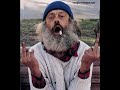 Binnike Bengt & Roy R�vmuns gonnospanieln & hiv-luf