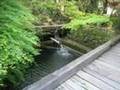 【グルメウォーカー】うなぎ 桜庵【岐阜県多治見市】