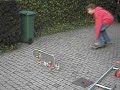 2 deck ollie