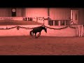 20090105212039