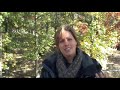 Microalgae Biofuel X Prize