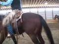 Ranch Roping Demonstration