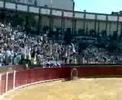 El disfrute en la plaza de toros, vaquilla 2008 TERUEL