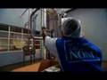 Tahitian Noni - From Tree to Bottle