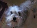 103_3474.mov 103_3474.mov