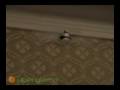 videos de Wowee Bladestar Flying Robot