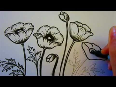 how to draw flowers