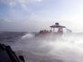 Dolphin RIB Adventure windforce 8