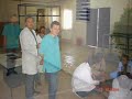 Animal hospital