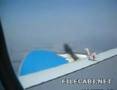 Birdstrike