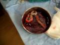 videos de Dexter 004.AVI