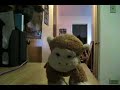 Animated Monkey