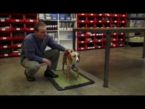 how to adjust ezydog quick fit harness