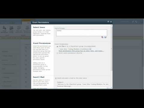 Grant User Permission in SharePoint 2010