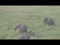 African Balloon Safari Part 1