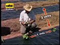 Producción de melón Producción de melón