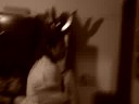 en casa(L)