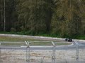 98 E36 BMW 328is @ Mission Intn\ 98 E36 BMW 328is @ Mission Intn\