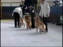 videos de Clase Campeones Filipini PSP