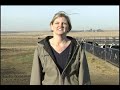 Dairy Trivia Answer Iowa.mov